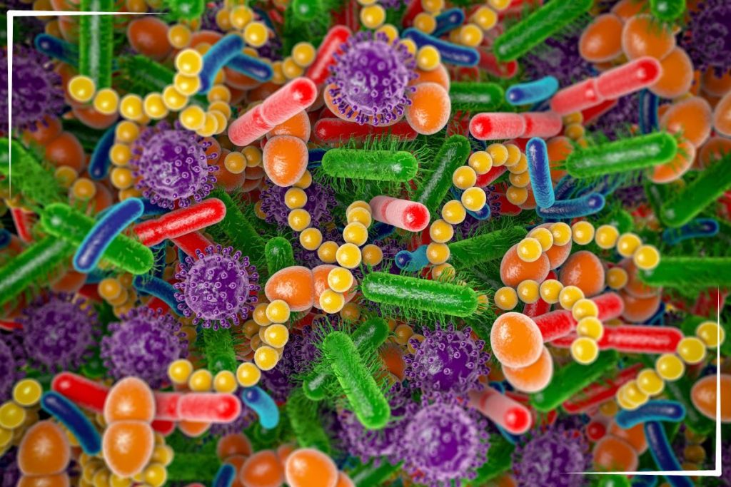 8 Hidden Drivers of Type 2 Diabetes - The Ominous Octet A picture of a bunch of germs.